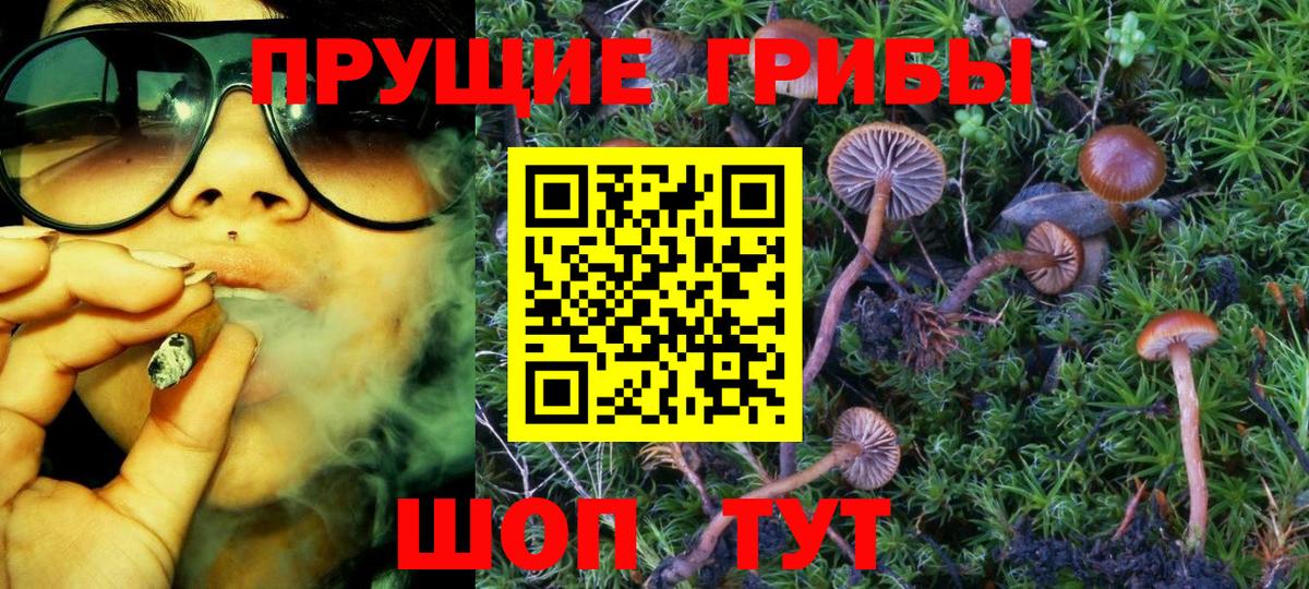 Псилоцибиновые грибы ЛСД Горячий Ключ